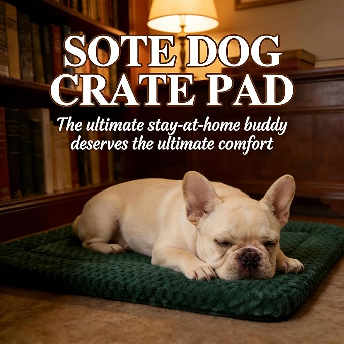 Dog Bed Mat, Reversible, Soft and Breathable Kennel Pad, Durable Crate Bed for Small, Medium, and Large Dogs and Cats (Green, S(24"*16"*1.2"))