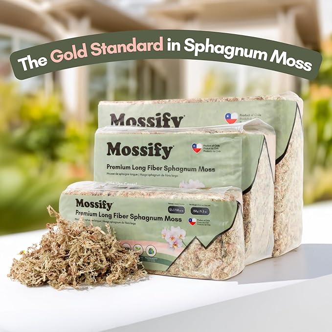 Mossify Premium Sphagnum Moss for Plants 1kg, 2.2 lbs - Long Fiber Moss for Plants Indoor, Orchids, Terrariums, Gardening, Reptiles – Moisture Plant Moss for Propagation, Soil & Habitat Bedding