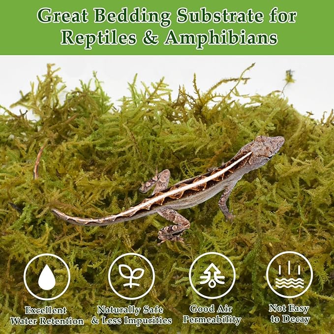 Halatool 9OZ Natural Sphagnum Moss for Reptiles- 14QT Green Moss for Terrarium Plants Long Fiber Reptile Moss for Leopard Gecko Snake Hamsters Tortoises Frogs Lizards Salamanders