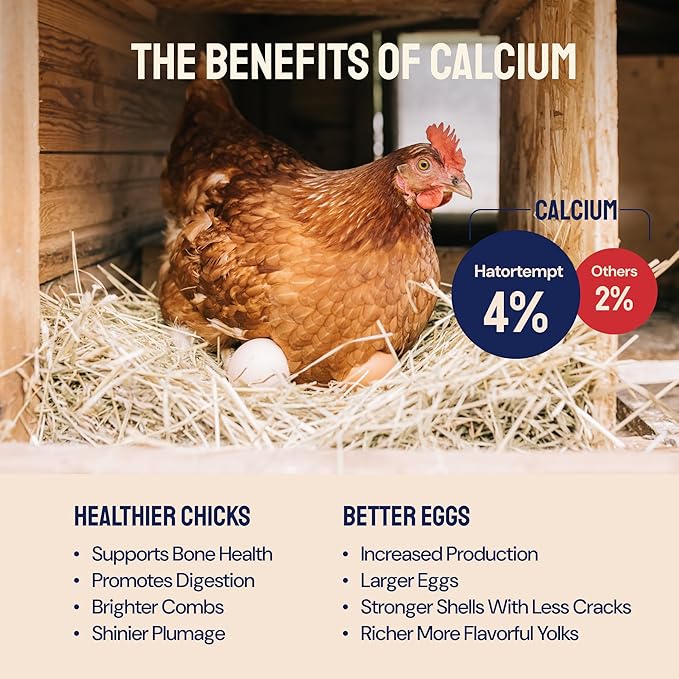 Hatortempt Chicken Feed & Treats - 10 Lb Non-GMO Bulk Larvae & Grubs - High-Protein Food for Laying Hens & Poultry - Grubs & Worms for Chickens & Bluebird Food - Calcium-Rich Supplement