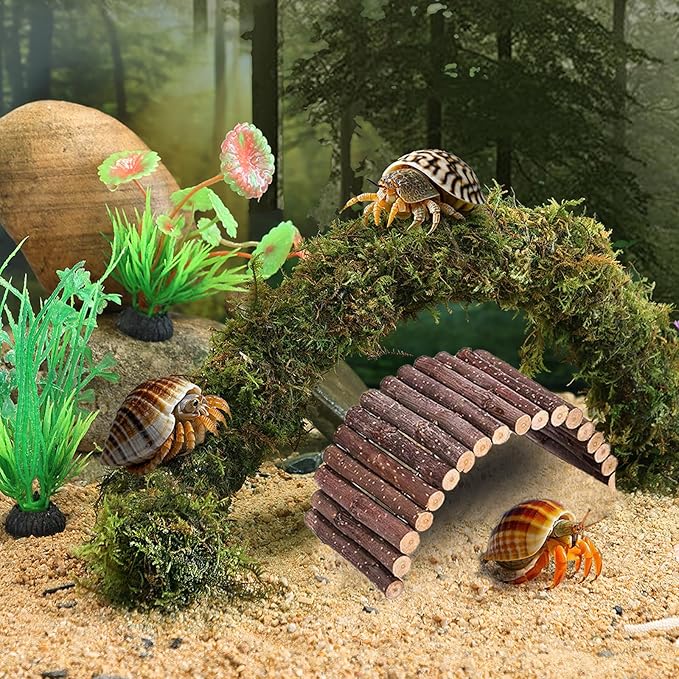 Grddaef Hermit Crab Accessories, Hermit Crab Toys Flexible Climbing Bridge Reptile Hammock Habitat Decor for Hermit Crabs Leopard Geckos, Crested,Tortoise, Snake