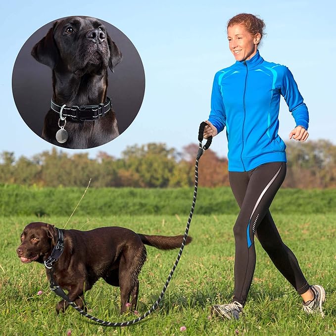 Reflective Dog Collar Padded with Soft Neoprene Breathable Adjustable Nylon Dog Collars for Small Medium Large Dogs (Large (Pack of 1), Black Collar+Leash)
