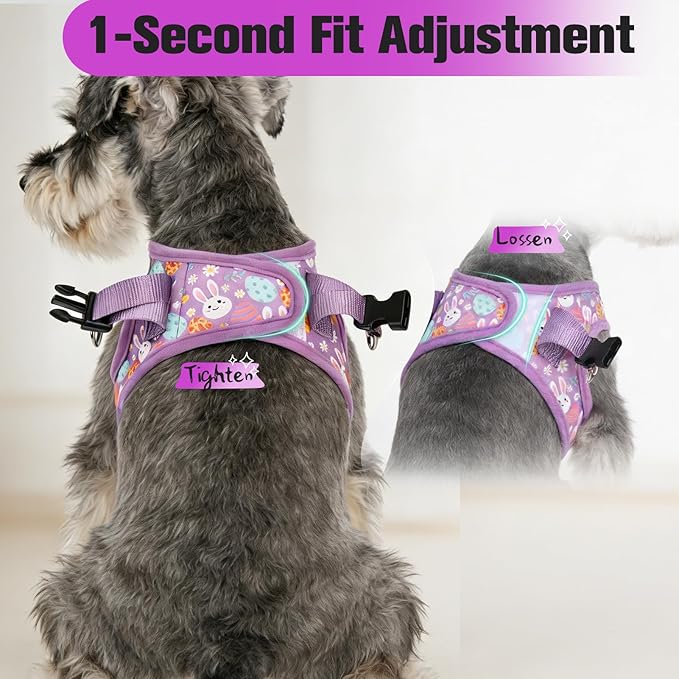 EXPAWLORER Easter Small Dog Harness - Dog Collar and Leash Set - Soft Mesh Padded Adjustable Step in Puppy Vest Harness No Pull, Reflective Escape Proof for Outdoor Walking, Bunny Egg S