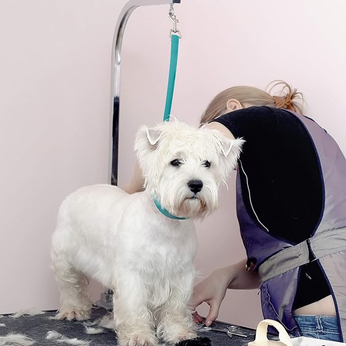 Jelly Pet Grooming Loop Slip Style (1/2" x 30", Teal) | Made in The USA