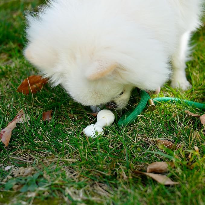 MON2SUN Dog Rawhide Knot Bones Small Rawhide Mini Chew Bones Natural 2.5 Inch 100 Count for Puppy and Small Dogs