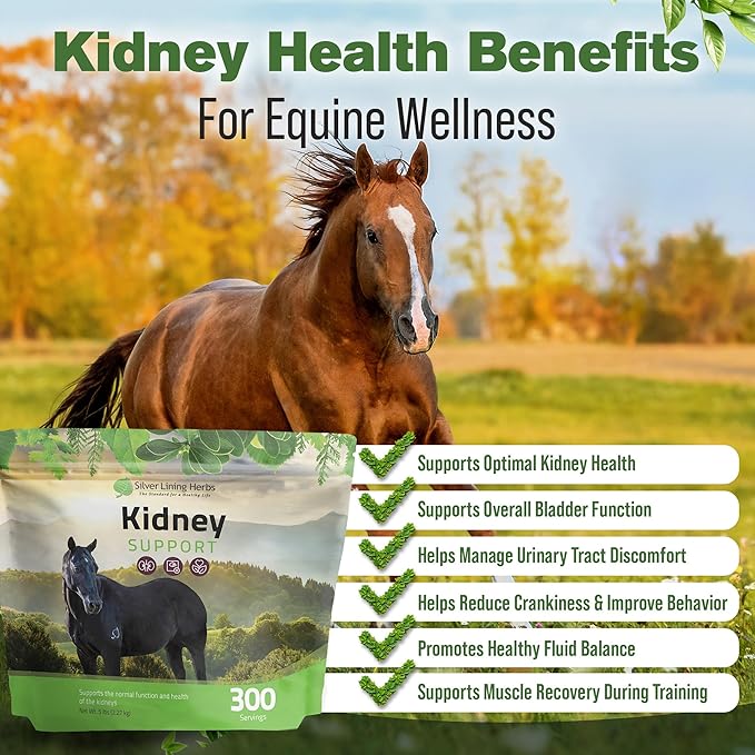 Silver Lining Herbs Kidney Support Supplement for Horses - Horse Supplements for Kidney Health and Bladder Support - Complete with Chamomile, Garlic, Juniper Berry, and More - 5 lb (300 Servings)