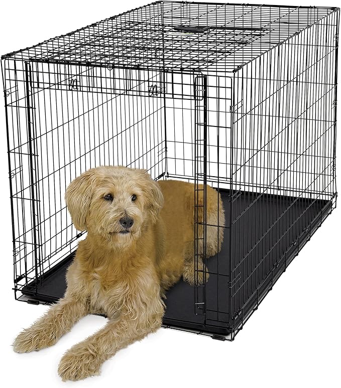 MidWest Homes for Pets XL Ovation Single Door Folding Dog Crate, 48-inches, Space-Saving Patented Up & Away Door, Leak-Proof Pan, Divider Panel, Black