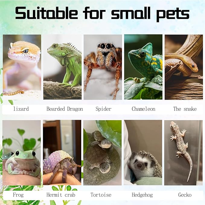 6PCS Cork Terrarium Background 15.7x11.8in Natural Large Cork Bark Backdrop Reptile Climbing Mat Tank Habitat Decor for Spider Lizard Chamelon Turtle Beared Dragon