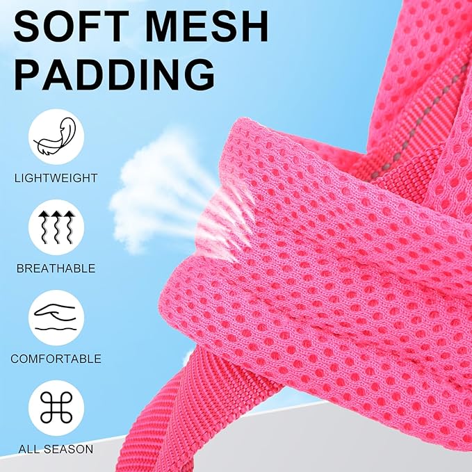 BEAUTYZOO Dog Harness for Small Dogs, No Pull Dog Harness and Leash Set, Soft Escape Proof Puppy Vest Harness with Handle, Reflective Lightweight Step in Harness for Girl Boy Dogs, Pink XS