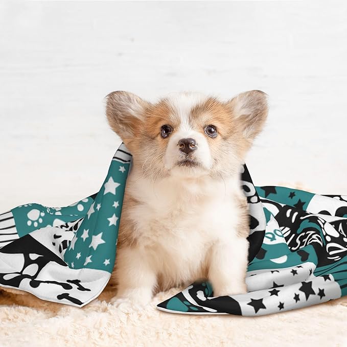 Paws Blanket for Dog Cat - Dog Puppy Blankets 40x30 Stripes Love Bones Throw Blanket for Couch
