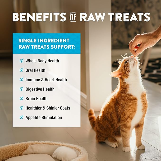 Northwest Naturals Raw Rewards Freeze-Dried Treats - Green-Lipped Mussels (2 oz) & Minnows (1 oz) Treats for Dogs & Cats - Healthy, 1 Ingredient, Human Grade Ingredients, All Natural