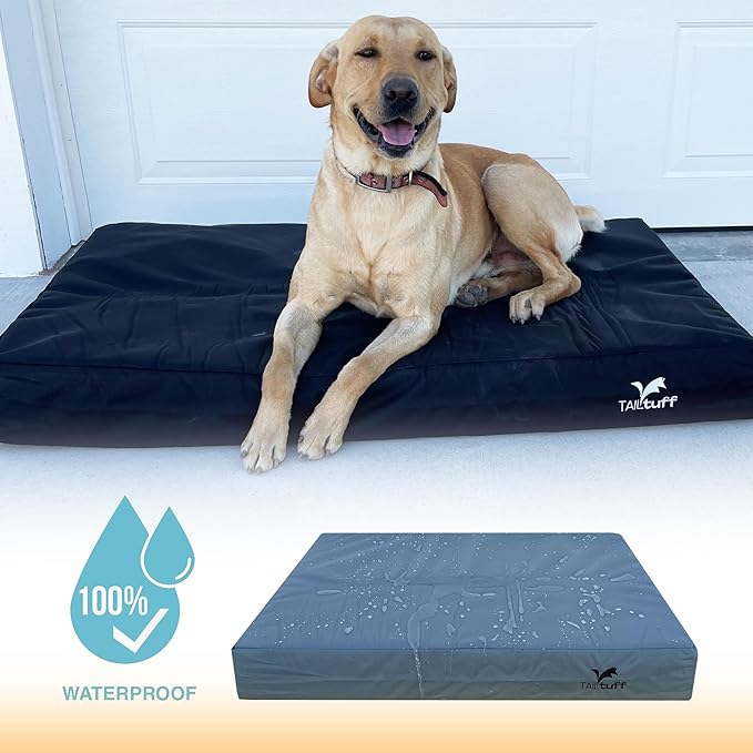 Elevated Dog Bed | Orthopedic Memory Foam | Large and Medium Dogs | Removable and Washable Cover | Waterproof Liner | Extra Large Gray