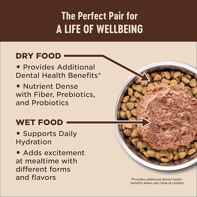 Wellness CORE+ Skin & Coat Pate Adult Wet Cat Food, Natural, Protein-Rich, Grain Free, 2.8 Ounce, 12 Pack (Duck & Chicken)