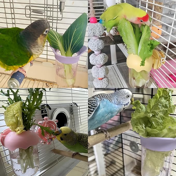 6 PCS Bird Cage Feeder for Vegetable Millet Holder Cage Accessories with Parrot Fruit Forks for Budgie Parrot Cockatiel Lovebirds (Yellow + Feeding Bowl)