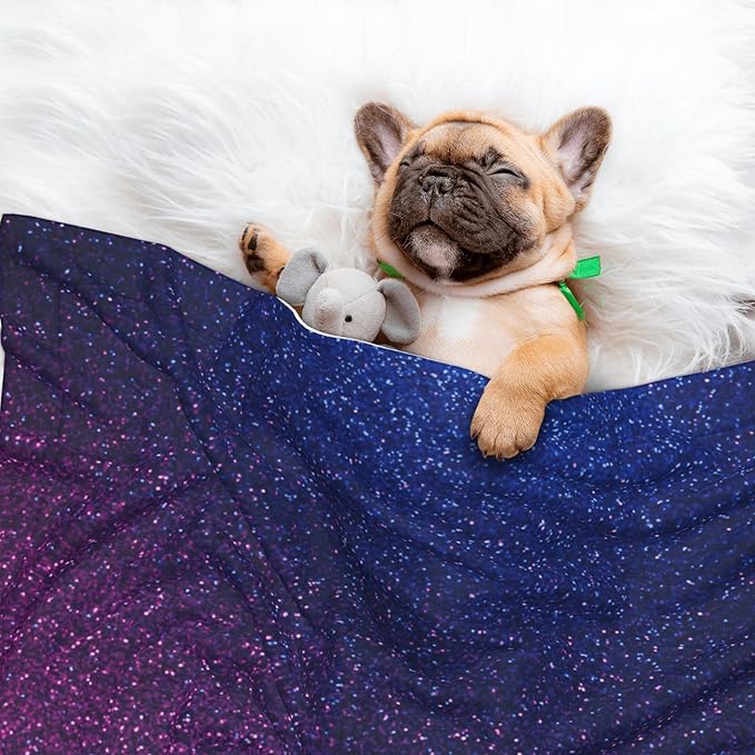 Waterproof Dog Blanket Soft Pet Blanket for Puppy Cat, Fleece Cat Throw Blankets for Furniture Bed Couch Sofa Reversible - Neon Glitter