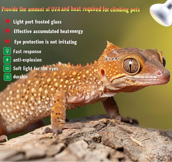 Reptile Heat Lamp Used in Reptiles 75W 100W Heat Lamp Bulbs for Reptiles 2 Pack Amphibians Basking Heat Lamp Bulbs UVA Daylight Basking Light (100Watts)