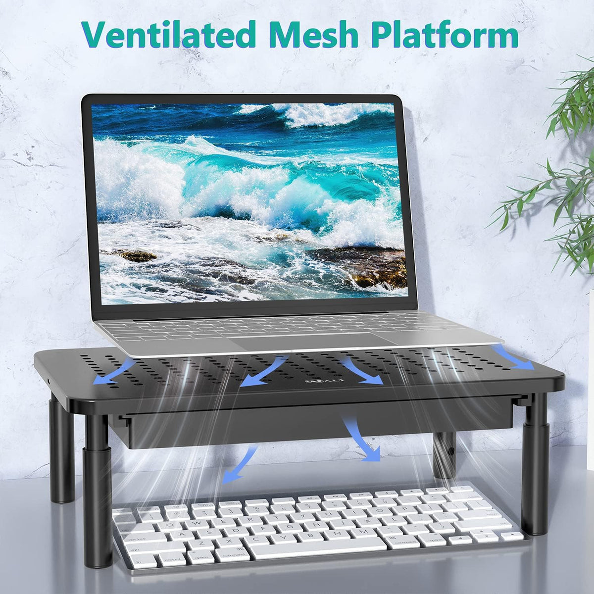 WALI Computer Monitor Stand with Storage