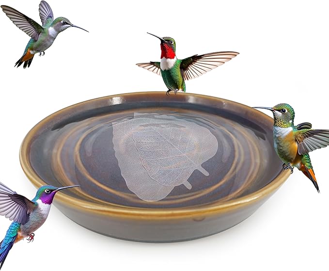 RONDURE 2 pcs Bird Bath Purification Disk Copper and Iron-Silver 4 Inch Bird Bath Water Cleaner Disk, All-Season Water Purifier (Iron-Silver Alloy and Copper-Coated)