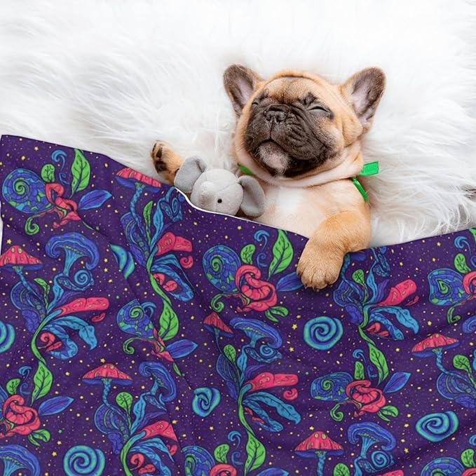 Two Sided Pet Cuddler Blanket for Anxiety Calming, Colorful Doodle Surreal Landscape Fantastic Mushroom, Reversible Plush Design with Bubble Dot Pattern Provides Familiar Surface Anywhere
