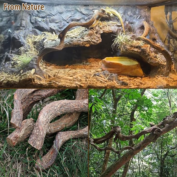 Reptile Decor Natural Forest Branch Terrarium Habitat Decoration Lizard Climbing Tree Branch for Bearded Dragon Gecko Snake Frog Chameleon Spider 3PCS