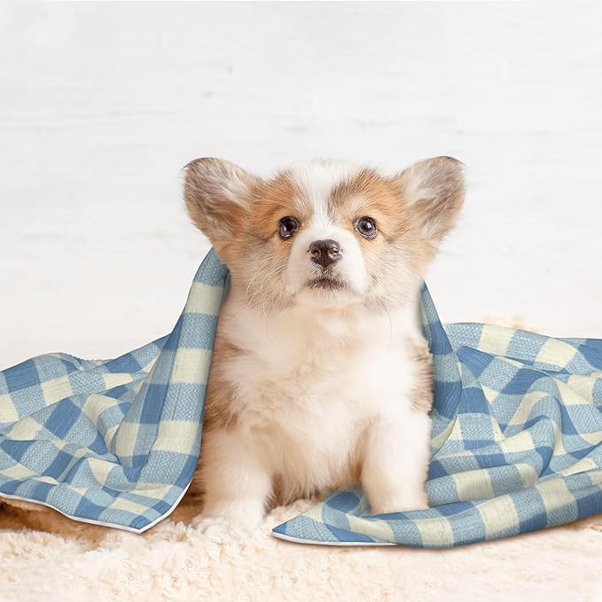 Waterproof Dog Blanket Soft Pet Blanket for Puppy Cat, Fleece Cat Throw Blankets for Furniture Bed Couch Sofa Reversible - Dusty Blue Gingham 1
