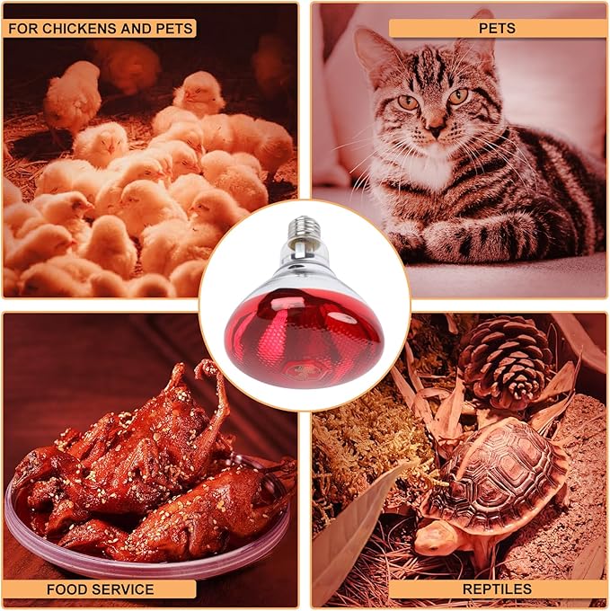 250W Red Heat Lamp Bulbs for Chicken,Infrared Flood Light Heat Lamp Bulb, Incandescent Light Heat Lamps for Chicks, Reptile, Pets, Par38 Glass E26 Base