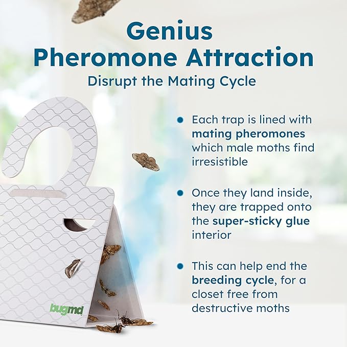 BugMD Clothes & Pantry Moth Traps (6 Count) – Sticky Glue Pheromone-Based Repellent for Closets, Cabinets & Wardrobes – Non-Toxic - White