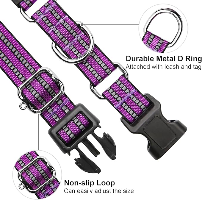 Martingale Dog Collar, Adjustable Nylon Reflective Collar with Quick Release Buckle (Real Purple, Small)