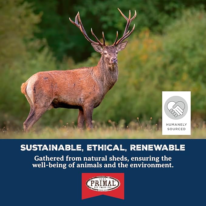 Primal Antlers for Dogs, Grade A Split Elk Antlers for Medium Canines 15-30 lb, Natural Chews for Aggressive Chewers, Naturally Shed, Long Lasting Dog Bones, 1 ct