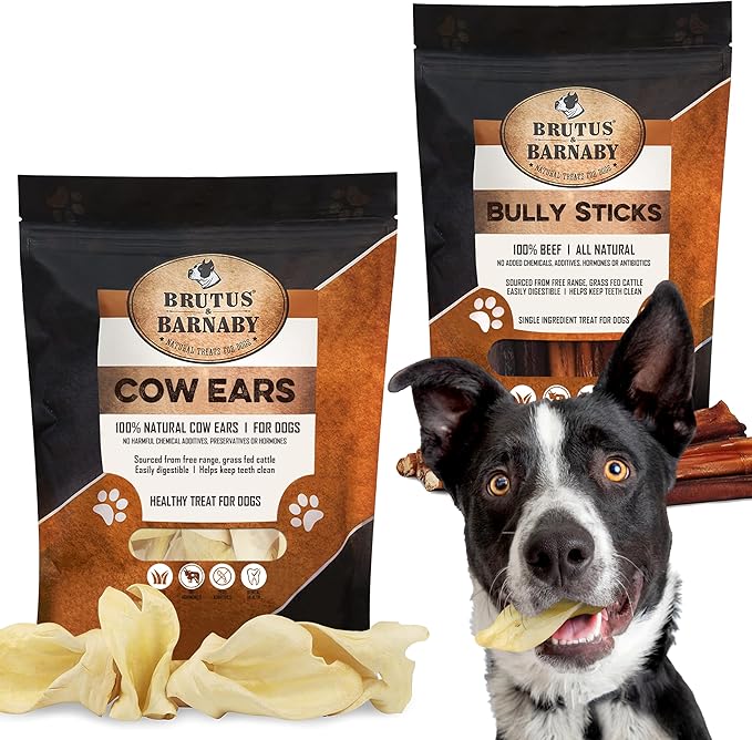 BRUTUS & BARNABY 12 Cow Ears + 12 Bully Sticks, All Natural Protein Dog Treats