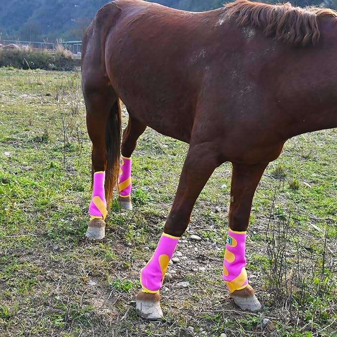 Equine Sport Horse Boots Set of 4 – Neoprene Leg Protection with Durable Hook & Loop Straps, Breathable & Comfortable Fit for Training, Riding, and Performance（Pink, Medium）