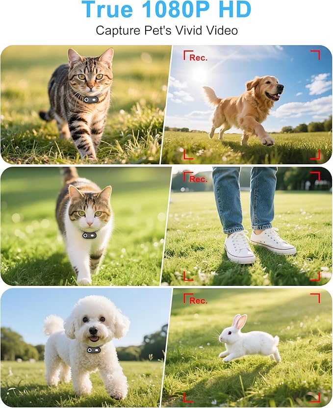 Cat Camera Collar with Phone APP, 1080P HD Video Recording Pet Camera Collar – Lightweight Pet POV Cam for Curious Cats & Adventurous Pups