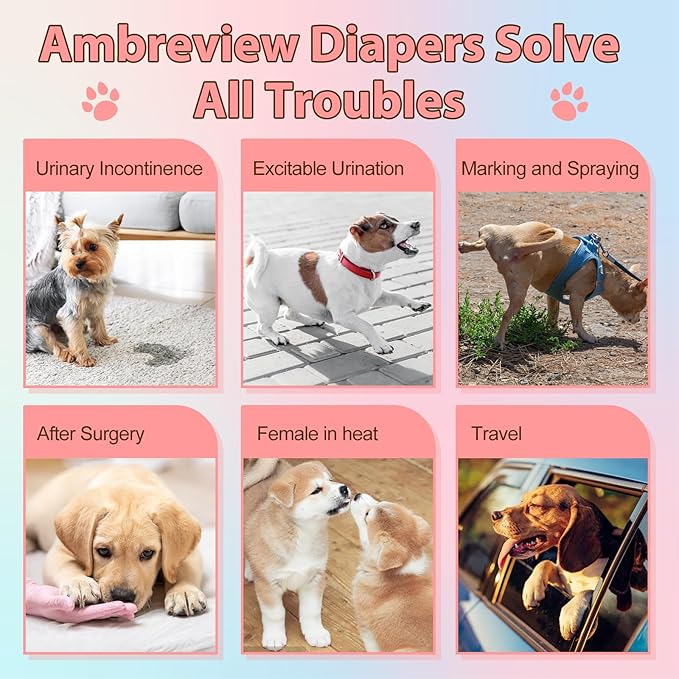Ambreview Disposable Dog Diapers Female, Just Pull It Up, Doggie Diapers for Female Dogs, Strong Absorbency | Leak Proof, for Dogs in Heat | Elderly | Disabled, L 10 PCS