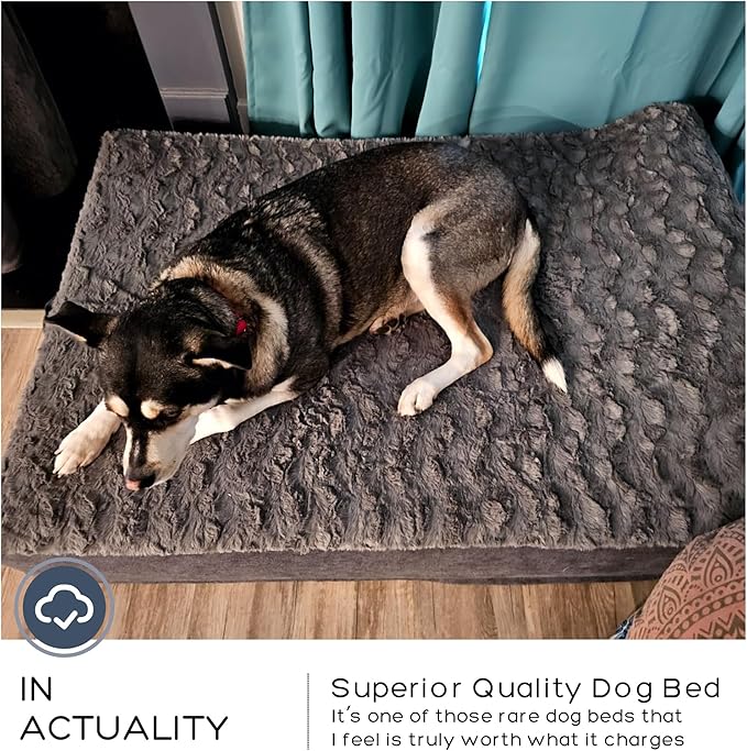 Jumbo Orthopedic Dog Bed for Large Dogs - 7-inch Thick Memory Foam Dog Bed with Pillow Removable Cover Machine Washable, Giant | 50 inch, Dark Gray