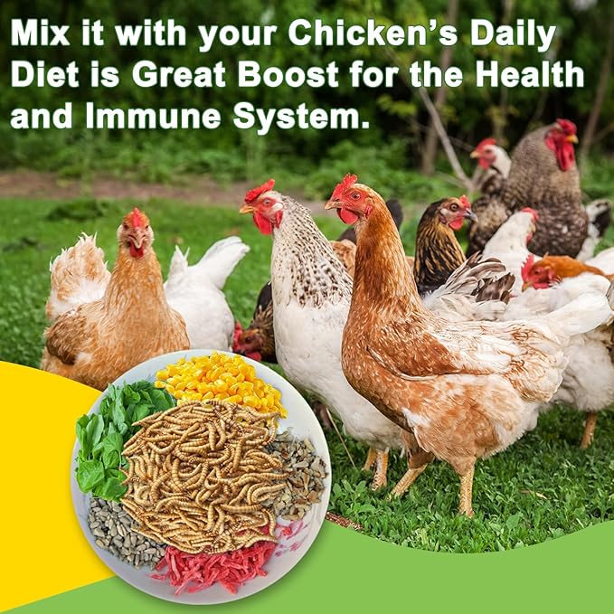 600g Dried Black Soldier Fly Larvae Treat for Chicken, 100% Natural Non-GMO More Calcium Than Dried Mealworms High Protein Chicken Feed for Birds, Ducks, Layer Hens