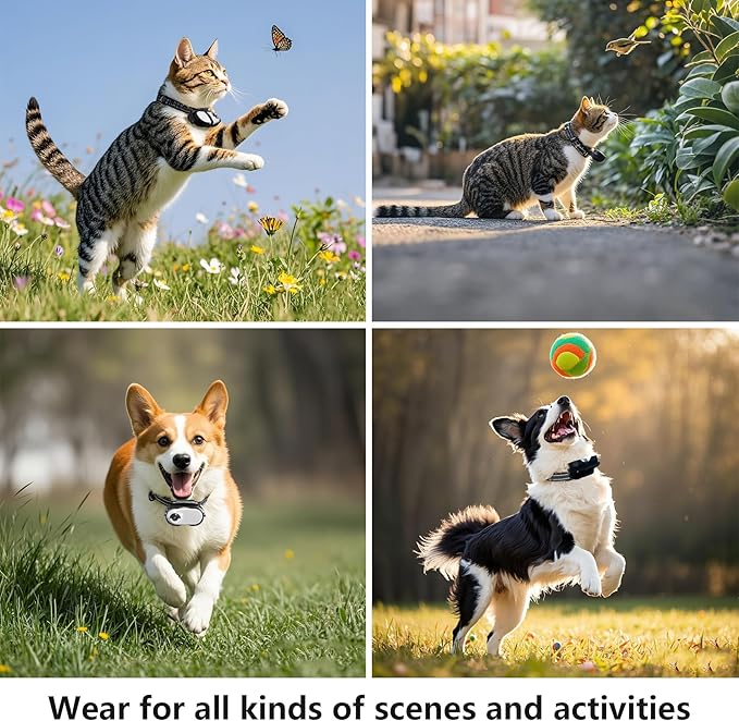 Dog Camera Collar, HD 1080P with Video Record Wireless Mini Sport Cam,Small Action Cameras,Body Camera for Pet Supplies/No WiFi, Indoor/Outdoor/with 32GB High-Speed Memory Card