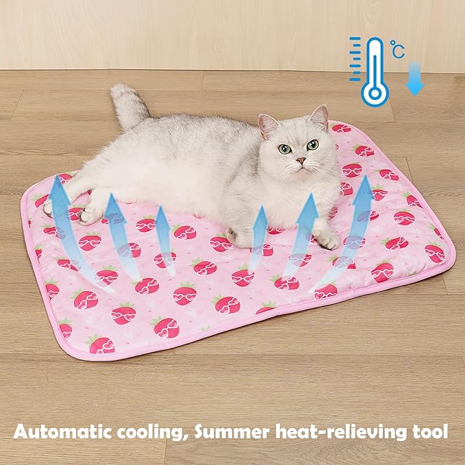 SEIS Dog Ice Pad Ice Silk Cats Kennel Mat Pet Cooling Pad Summer Cool Bamboo Mat Breathable Pad (Strawberry, S)