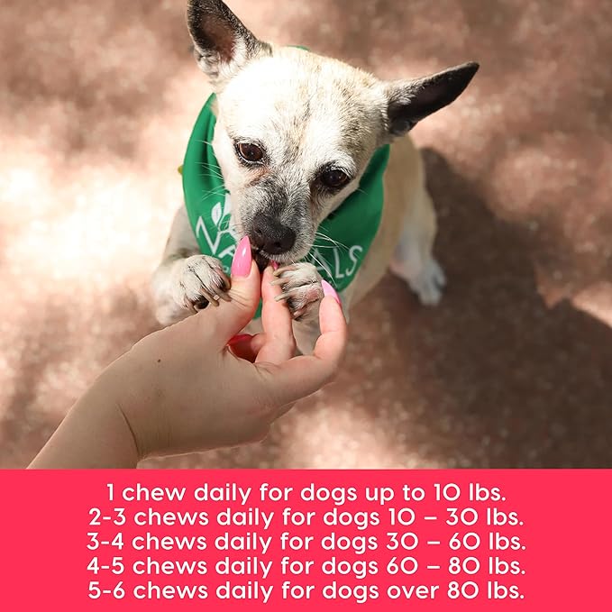 ARK NATURALS Gray Muzzle Heart Healthy Wags Plenty Dog Chews, Vet Recommended for Senior Dogs to Support Heart Muscle, Blood Pressure and Circulation, Natural Ingredients, 60 Count,Red,71002