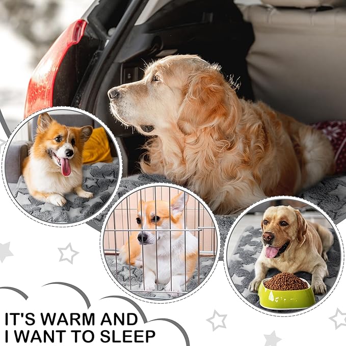 Tranqun 4 Pcs Waterproof Dog Blankets 30 x 21 Inch Washable Puppy Blankets for Small Dog Reusable Pet Pee Pad Soft Reversible Fleece Cat Blanket Sleep Floor Mat for Guinea Pig Cage Liners (Gray)