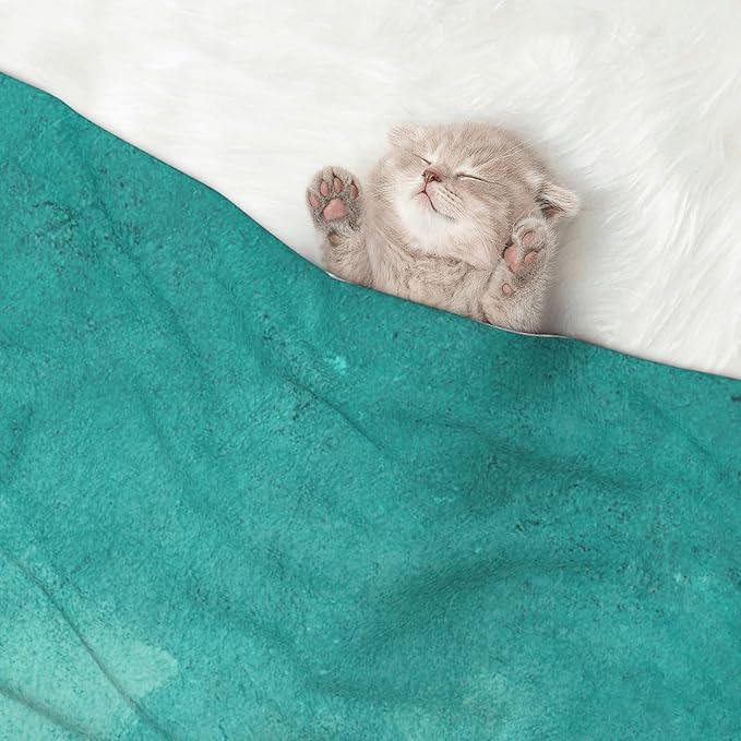 Waterproof Dog Blanket Soft Pet Blanket for Puppy Cat, Fleece Cat Throw Blankets for Furniture Bed Couch Sofa Reversible - Teal Turquoise1