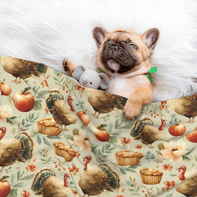 Waterproof Dog Blanket Soft Pet Blanket for Puppy Cat, Fleece Cat Throw Blankets for Furniture Bed Couch Sofa Reversible - Turkey and Thanksgiving 2