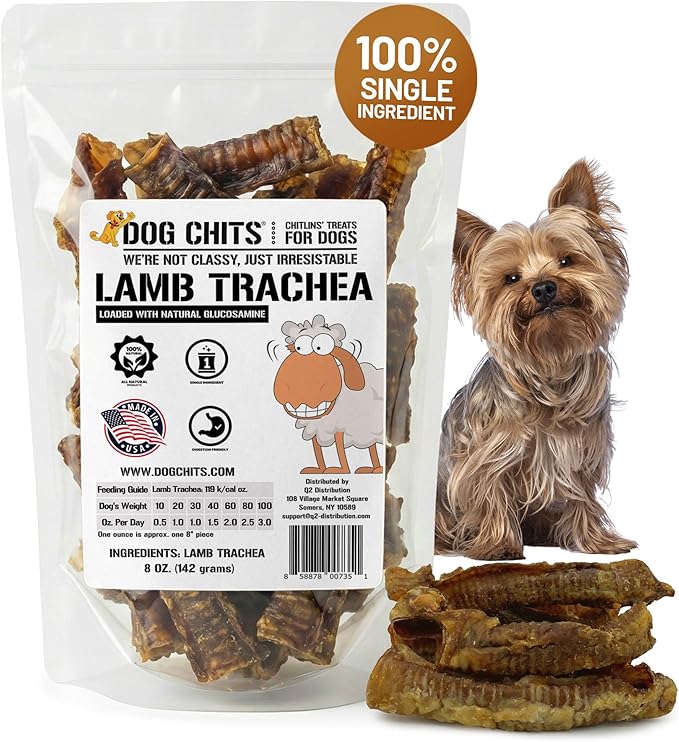 Dog Chits Lamb Trachea Dog Chews - 100% Single Ingredient, High Protein, Low Fat - Glucosamine for Joint Support - Dental-Clean Crunch - for Dogs Sensitive to Beef, Training Treat - 6 inch, 8 oz