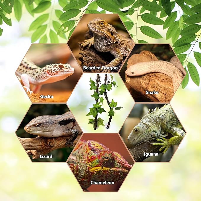 Reptile Climbing Branch Flexible Bend-A-Branch Jungle Vines Terrarium Plant Decoration with Suction Cup for Crested Gecko Chameleon Gecko Snake Tree Frog 2PCS