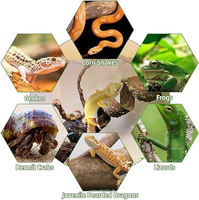 BNOSDM Reptile Jungle Vines with Leaves,Flexible Reptile Climbing Vines Branch,Chameleon Bendable Plants Tank Accessories,Pet Habitat Decor for Bearded Dragon,Snakes,Geckos,Lizards