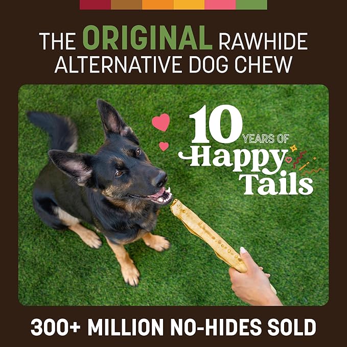 Earth Animal No Hide Chews - Long Lasting Rawhide Free Large Dog Chews Rolls, Pork - 3 Count Value Pack