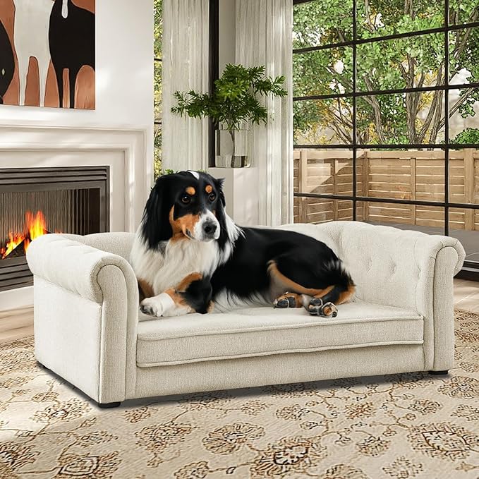 Dog Couch for Large Dogs, Elevated Durable Pet Sofa Bed, 24" W Comfortable Modern and Stylish Dog Sofa Couch with Dry Cleanable Fabric, Furniture for Medium & Large Breed (Beige)