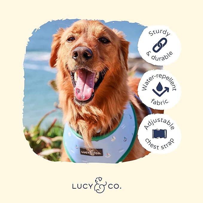 Lucy & Co. Set Sail Reversible Harness, Walking Halter - Best Designer Pet Harnesses for Small Dogs - Padded Adjustable Vest for Easy Walking, X-Small, Blue & White Stripes & Sailboats