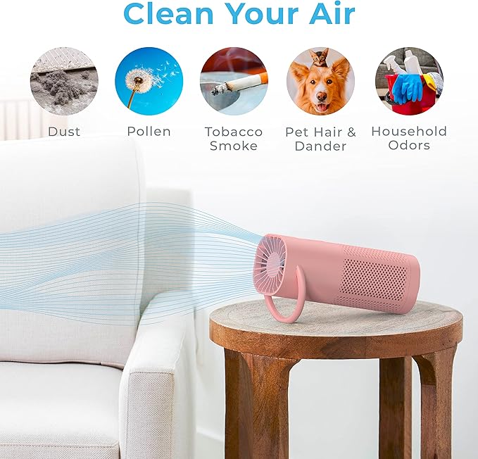 Pure Enrichment PureZone Mini Portable Air Purifier