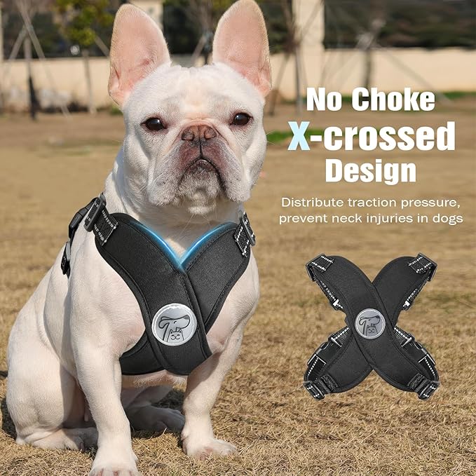 Pawaboo Small Dog Harness and Leash Set, Puppy Harness X-Frame No Pull No Choke, Dog Vest Harnesses Adjustable for Small Medium Sized Dogs, Soft Breathable Pet Harnesses for Walking Outing (L, Black)