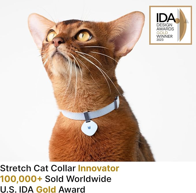 Safety Cat Collar Pro and Tag Set - U.S. IDA Gold Award, Elastic Release Cat Collar Charm Tag, Non Breakaway Cat Collar Adjustable with Charm for Kitten Small Large Cats (Monet Purple, M)